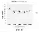 Fig. 15 - Biological specimen collection and transport system and methods of use