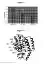Fig. 03 - ENZYME MUTANT