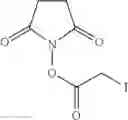 Fig. 10 - ENZYME MUTANT