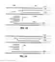 Fig. 22 - Efficient base determination in sequencing reactions