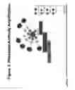 Fig. 04 - Ultra sensitive method for in situ detection of nucleic acids