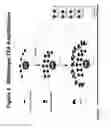 Fig. 05 - Ultra sensitive method for in situ detection of nucleic acids