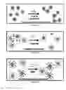 Fig. 06 - NMR systems and methods for the rapid detection of analytes