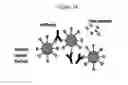 Fig. 24 - NMR systems and methods for the rapid detection of analytes