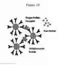 Fig. 28 - NMR systems and methods for the rapid detection of analytes