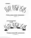 Fig. 40 - NMR systems and methods for the rapid detection of analytes