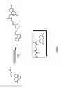 Fig. 06 - Synthesis And Use Of Fluorophore-Tagged Antimalarials