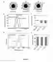 Fig. 12 - DEVICE FOR CAPTURE, ENUMERATION, AND PROFILING OF CIRCULATING TUMOR CELLS