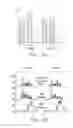 Fig. 03 - HIGH PRESSURE ENZYMATIC DIGESTION SYSTEM FOR PROTEIN CHARACTERIZATION