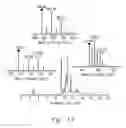 Fig. 20 - HIGH PRESSURE ENZYMATIC DIGESTION SYSTEM FOR PROTEIN CHARACTERIZATION