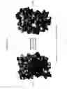 Fig. 04 - Supercharged proteins for cell penetration
