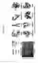 Fig. 64 - Supercharged proteins for cell penetration