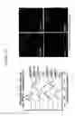 Fig. 65 - Supercharged proteins for cell penetration
