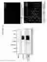 Fig. 67 - Supercharged proteins for cell penetration