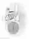 Fig. 29 - Flavivirus-based system for production of hepatitis C virus (HCV)