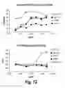 Fig. 13 - Nucleic acids encoding antibodies having altered effector function and methods for making the same