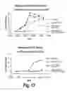 Fig. 14 - Nucleic acids encoding antibodies having altered effector function and methods for making the same