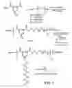 Fig. 02 - Enzymatic Synthesis of Polymers