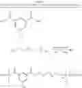 Fig. 14 - Enzymatic Synthesis of Polymers
