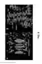 Fig. 10 - Crystals of membrane proteins