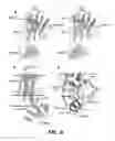 Fig. 11 - Crystals of membrane proteins