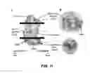 Fig. 13 - Crystals of membrane proteins