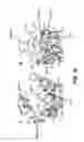 Fig. 14 - Crystals of membrane proteins