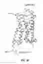 Fig. 20 - Crystals of membrane proteins