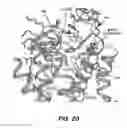 Fig. 22 - Crystals of membrane proteins
