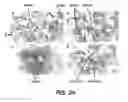 Fig. 27 - Crystals of membrane proteins