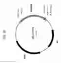 Fig. 12 - Delta-9 elongases and their use in making polyunsaturated fatty acids