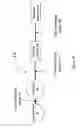 Fig. 11 - APPARATUS FOR POLYNUCLEOTIDE DETECTION AND QUANTITATION