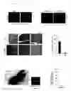 Fig. 05 - METHODS AND COMPOSITIONS FOR GENERATING SELF ATTENUATING GENETIC CIRCUITRY