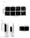 Fig. 18 - METHODS AND COMPOSITIONS FOR GENERATING SELF ATTENUATING GENETIC CIRCUITRY