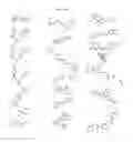 Fig. 33 - N-LINKED GLYCAN BIOSYNTHESIS MODULATORS