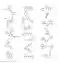 Fig. 40 - N-LINKED GLYCAN BIOSYNTHESIS MODULATORS