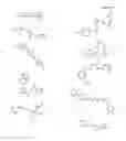 Fig. 47 - N-LINKED GLYCAN BIOSYNTHESIS MODULATORS