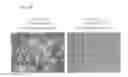 Fig. 07 - Revascularization cells derived from mononuclear cells, and method of inducing differentiation thereof