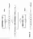 Fig. 02 - METHOD OF DOUBLE CROSSOVER HOMOLOGOUS RECOMBINATION IN CLOSTRIDIA