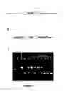 Fig. 11 - METHOD OF DOUBLE CROSSOVER HOMOLOGOUS RECOMBINATION IN CLOSTRIDIA