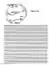 Fig. 28 - METHOD OF DOUBLE CROSSOVER HOMOLOGOUS RECOMBINATION IN CLOSTRIDIA