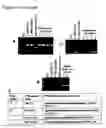 Fig. 36 - METHOD OF DOUBLE CROSSOVER HOMOLOGOUS RECOMBINATION IN CLOSTRIDIA