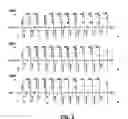 Fig. 06 - Method of oligonucleotide sequencing by mass spectrometry