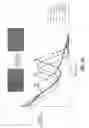 Fig. 06 - Methods of making quantum dot films