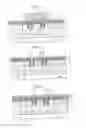 Fig. 04 - Method of forming a semiconductor device introducing plural impurities to form plural wells