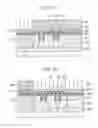 Fig. 16 - Method of forming a semiconductor device introducing plural impurities to form plural wells