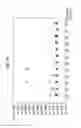 Fig. 09 - Methods of Forming Integrated Circuit Devices Having Anisotropically-Oxidized Nitride Layers