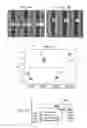 Fig. 05 - Method to improve reliability (EM and TDDB) with post silylation plasma treatment process for copper damascene structures