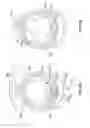 Fig. 11 - Rotationally configurable backshell for an electrical connector