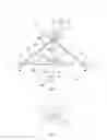 Fig. 03 - Water shoe